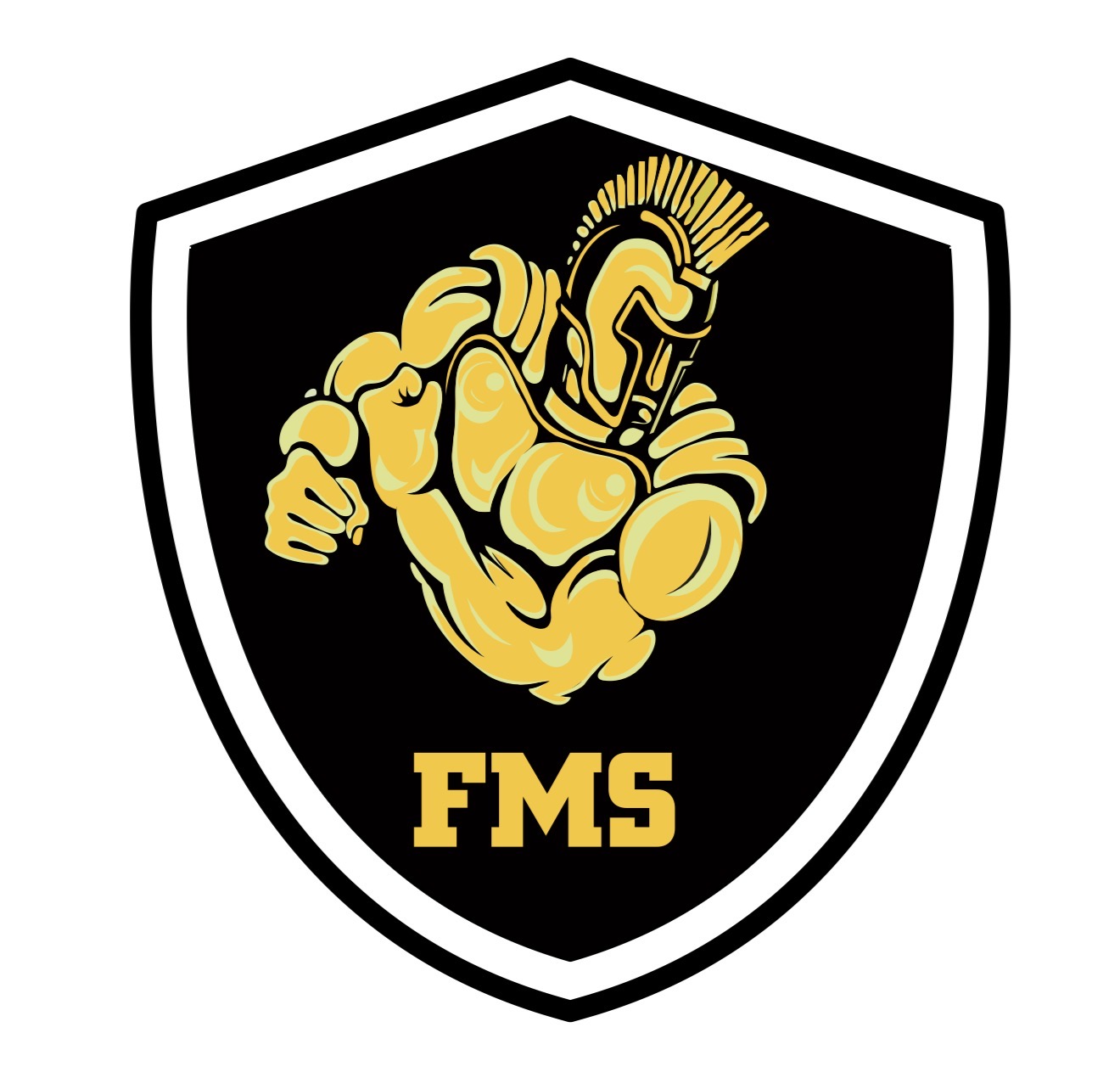 Fms Training Academy spor salonu